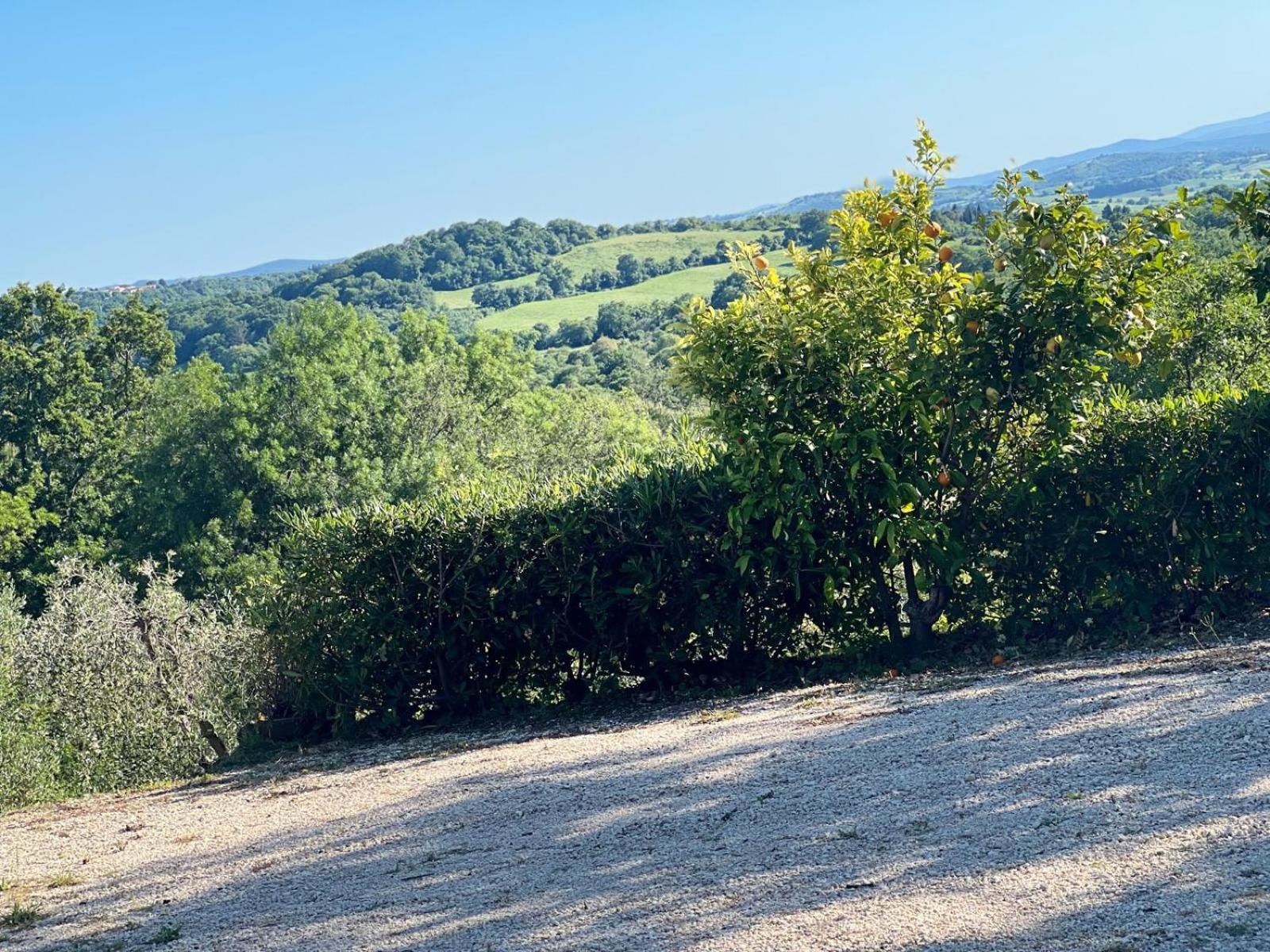 Agriturismo La Castellina Saturnia Kültér fotó